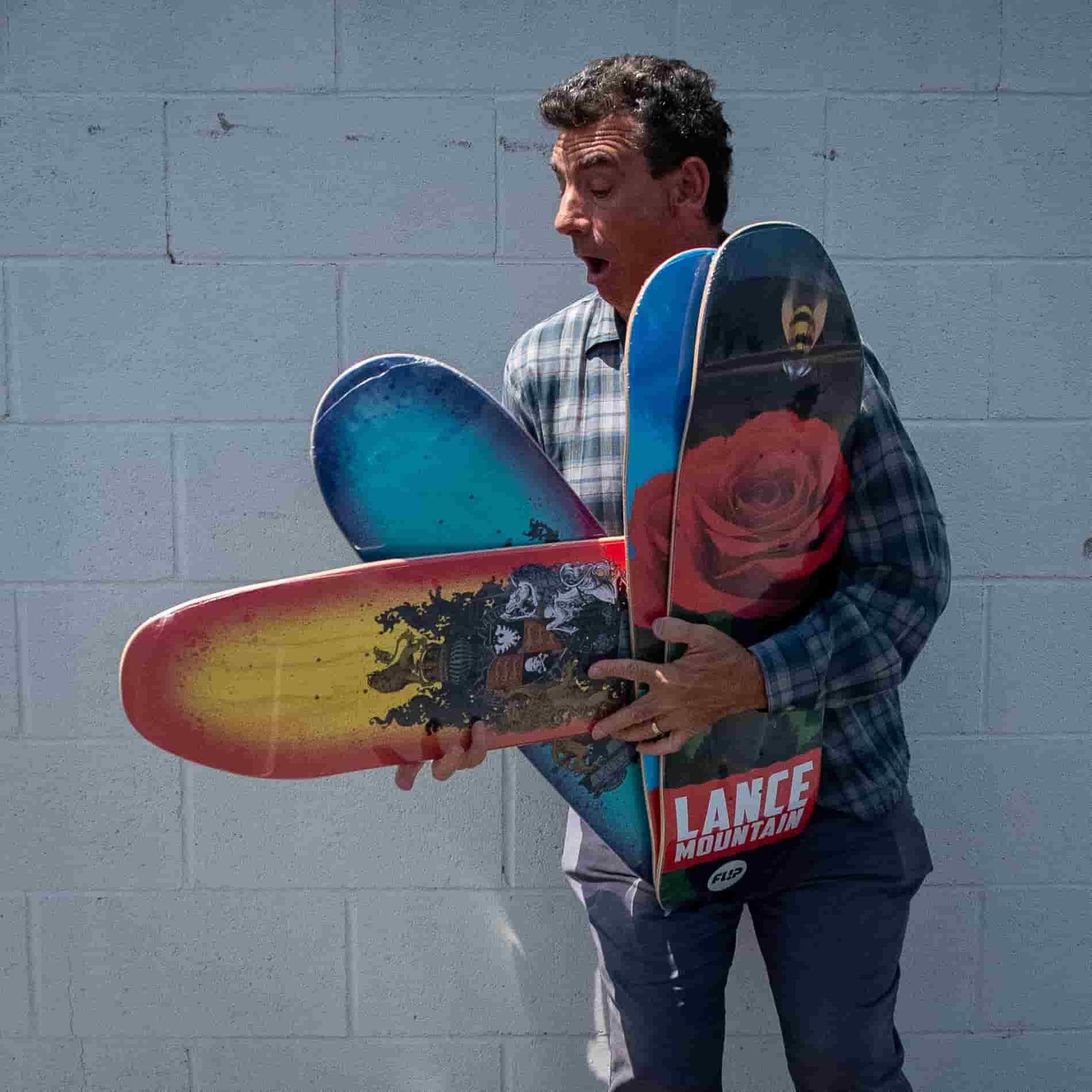 Lance Mountain net worth